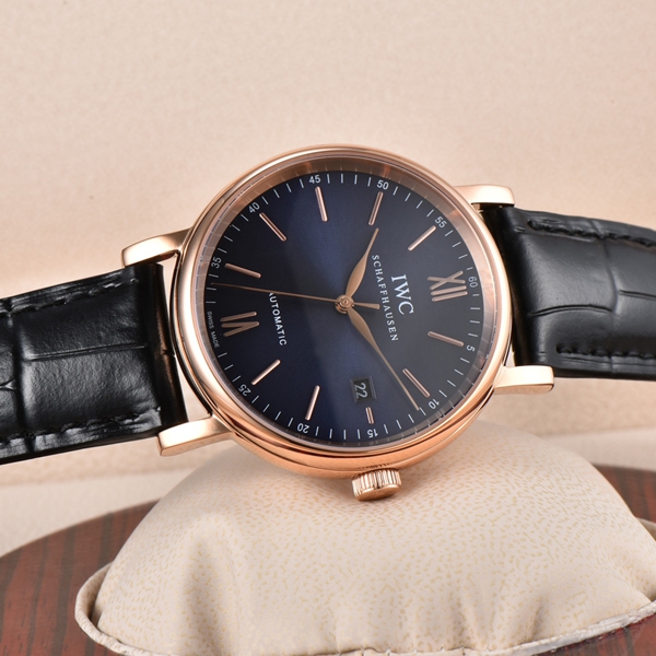 アイ・ダブリュー・シー側面デザイン